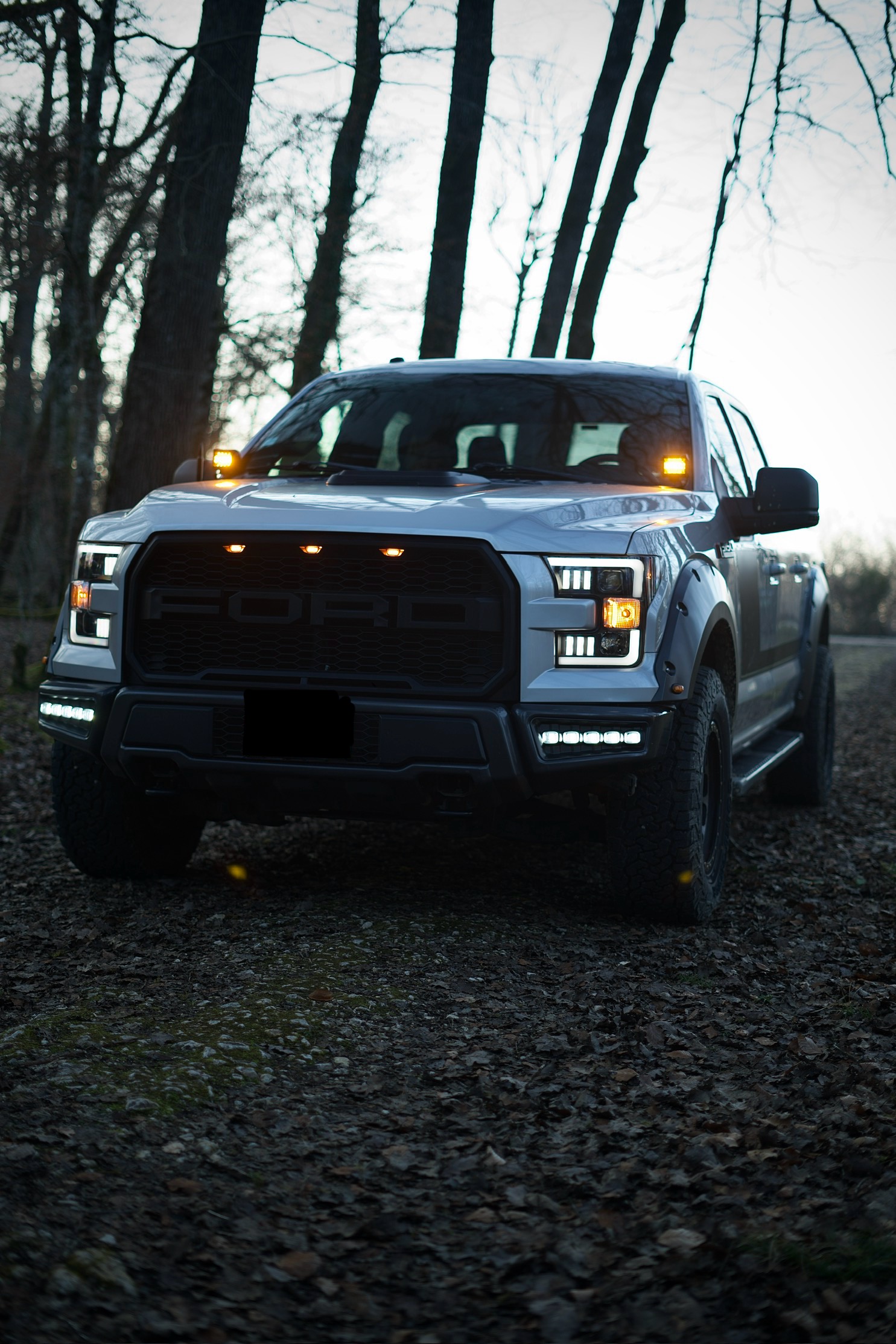 Ford F150 Raptor V8